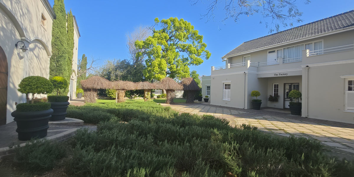 The courtyard at Phelan Footwear in afternoon light: the shop's arched door, the pergola and The Factory house